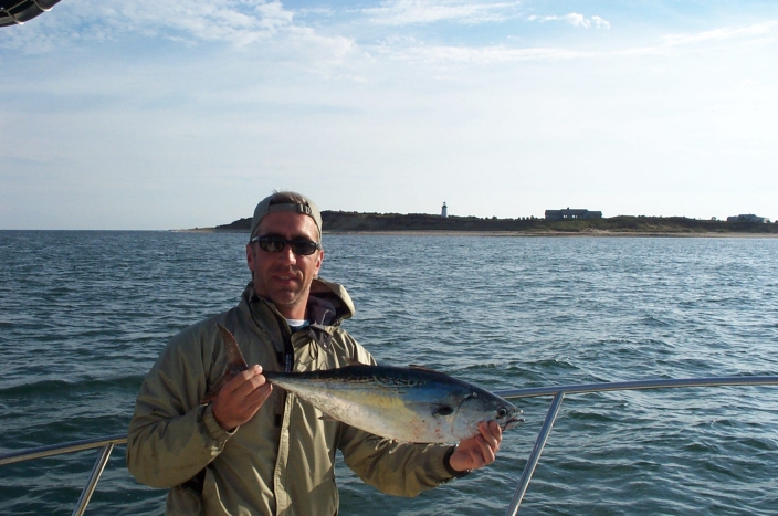 False albacore